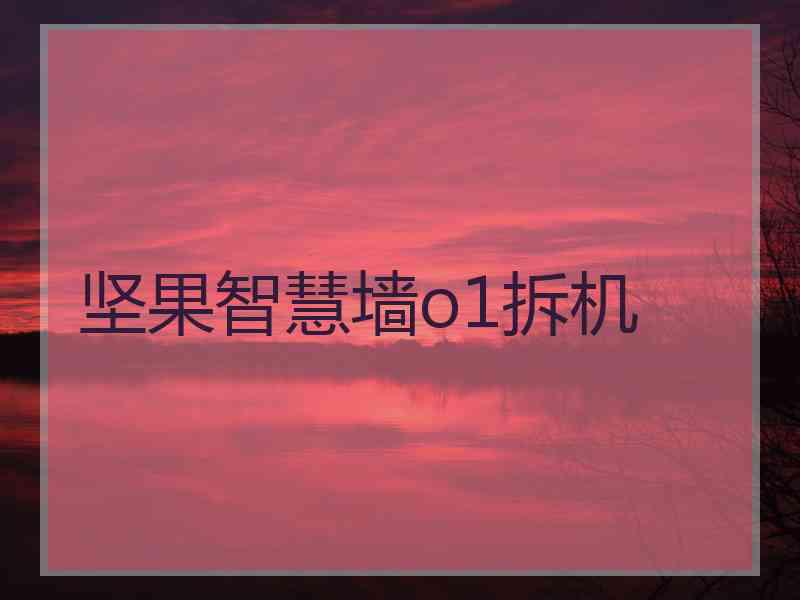 坚果智慧墙o1拆机
