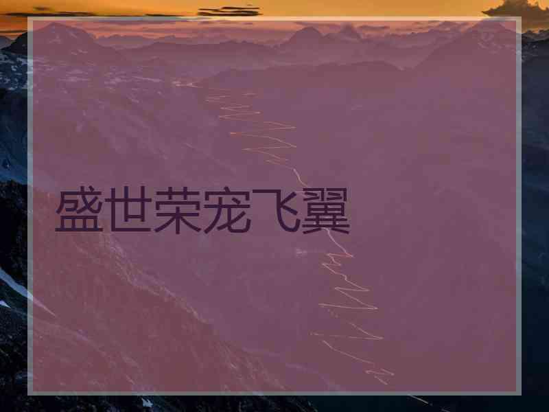 盛世荣宠飞翼