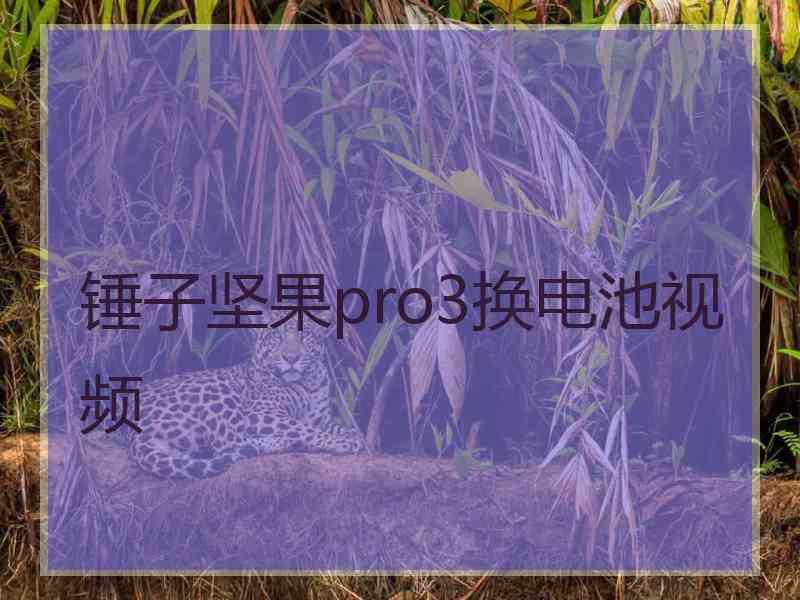 锤子坚果pro3换电池视频