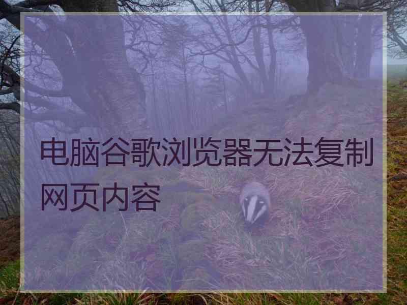 电脑谷歌浏览器无法复制网页内容