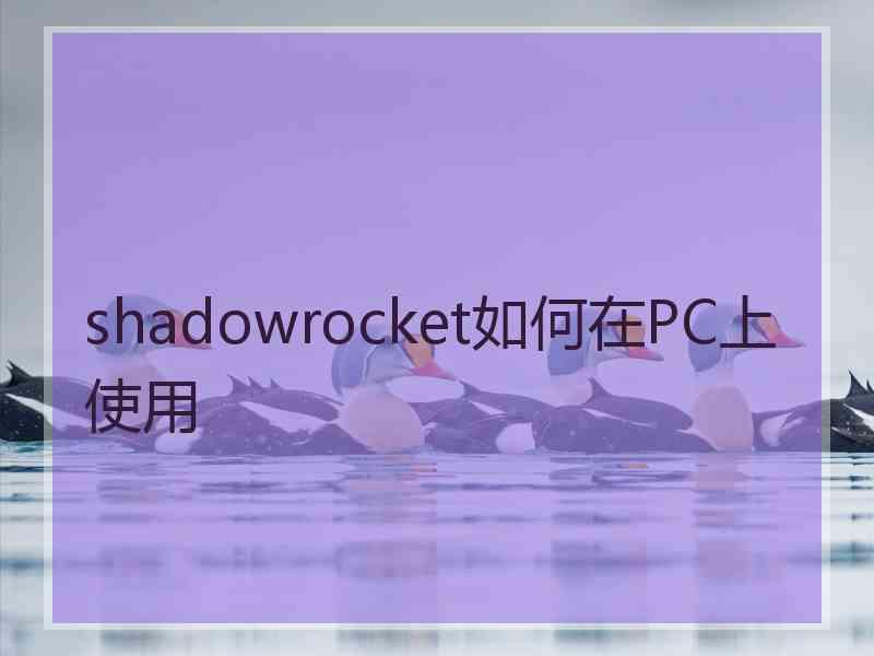 shadowrocket如何在PC上使用