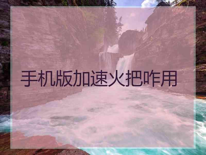 手机版加速火把咋用