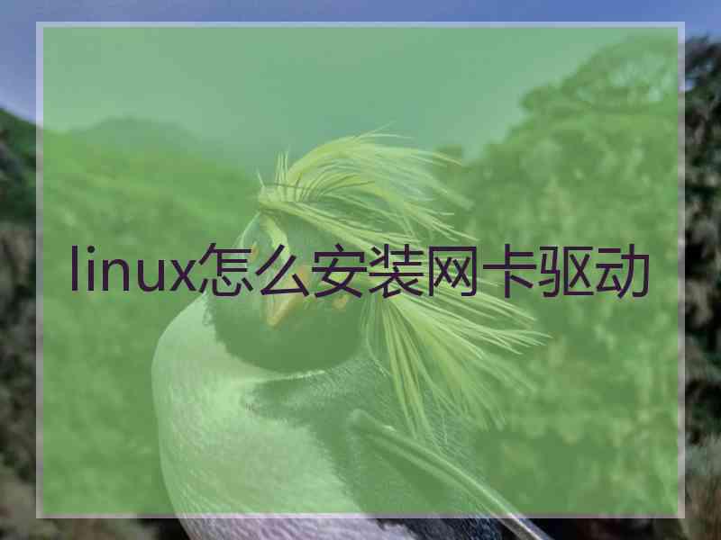 linux怎么安装网卡驱动