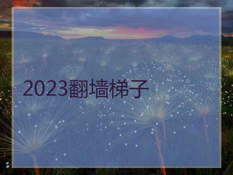 2023翻墙梯子