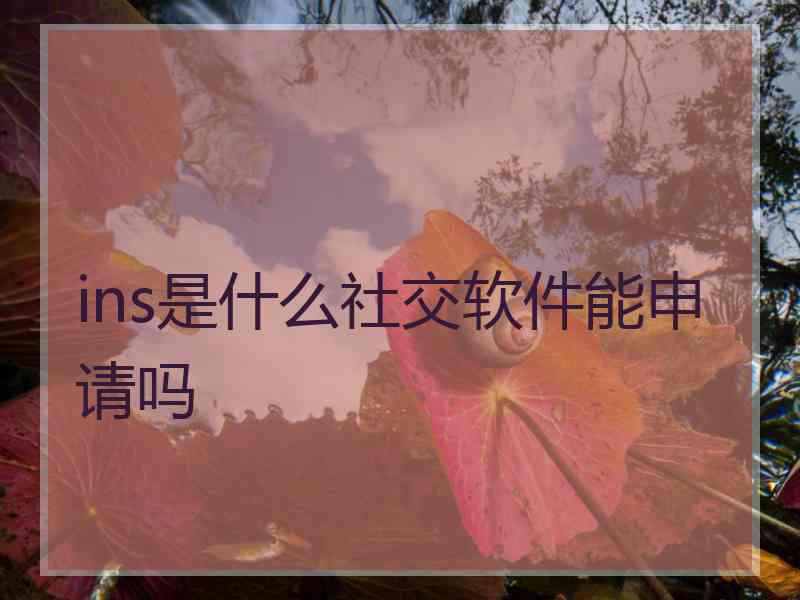 ins是什么社交软件能申请吗