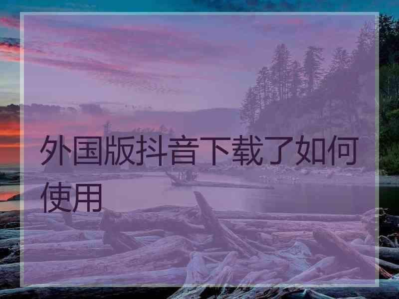 外国版抖音下载了如何使用