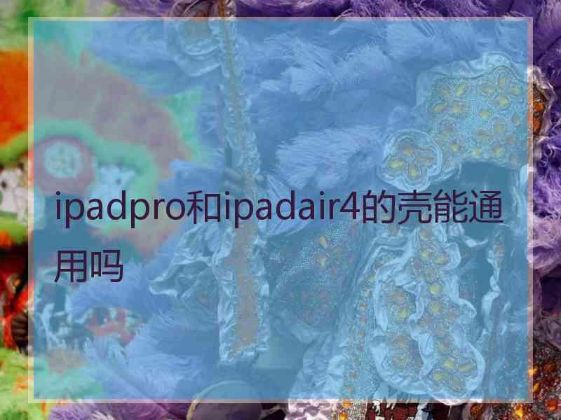 ipadpro和ipadair4的壳能通用吗