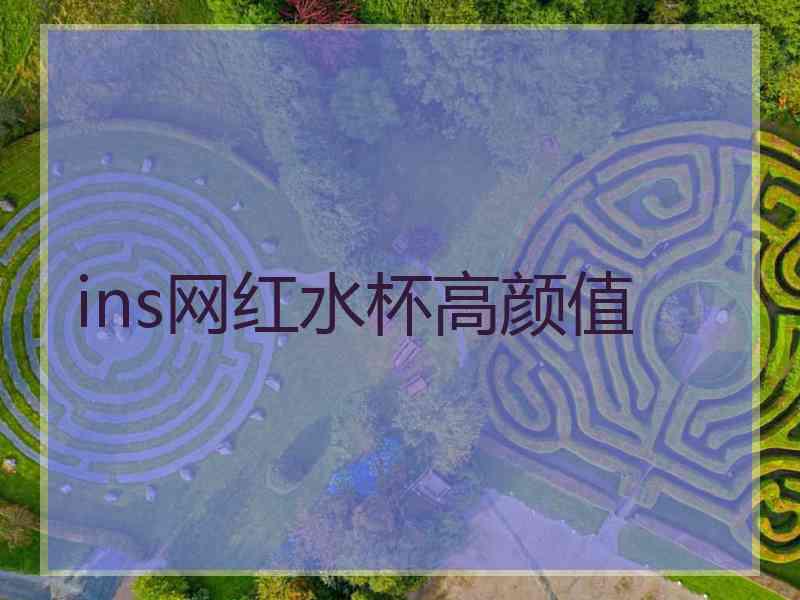 ins网红水杯高颜值