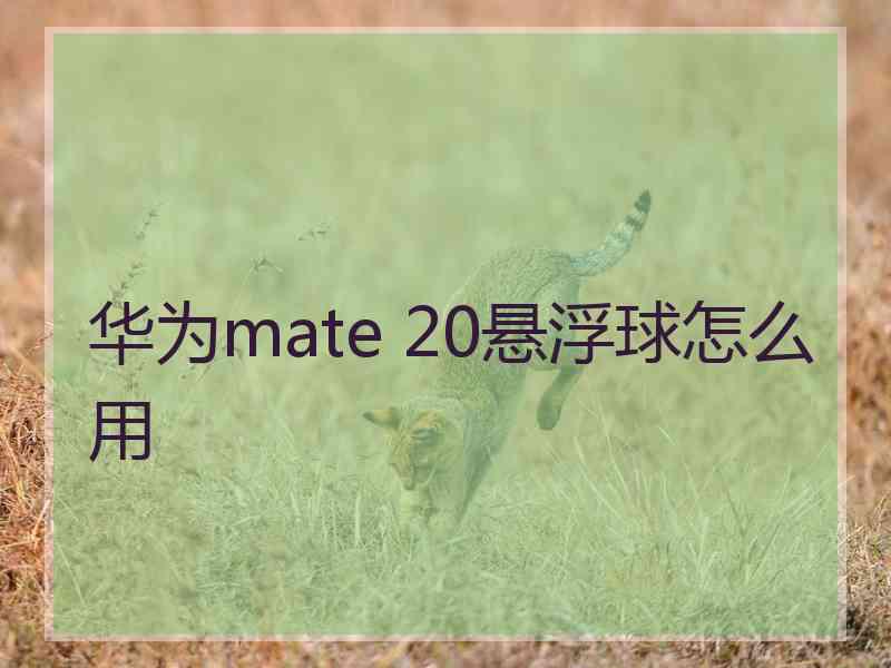 华为mate 20悬浮球怎么用