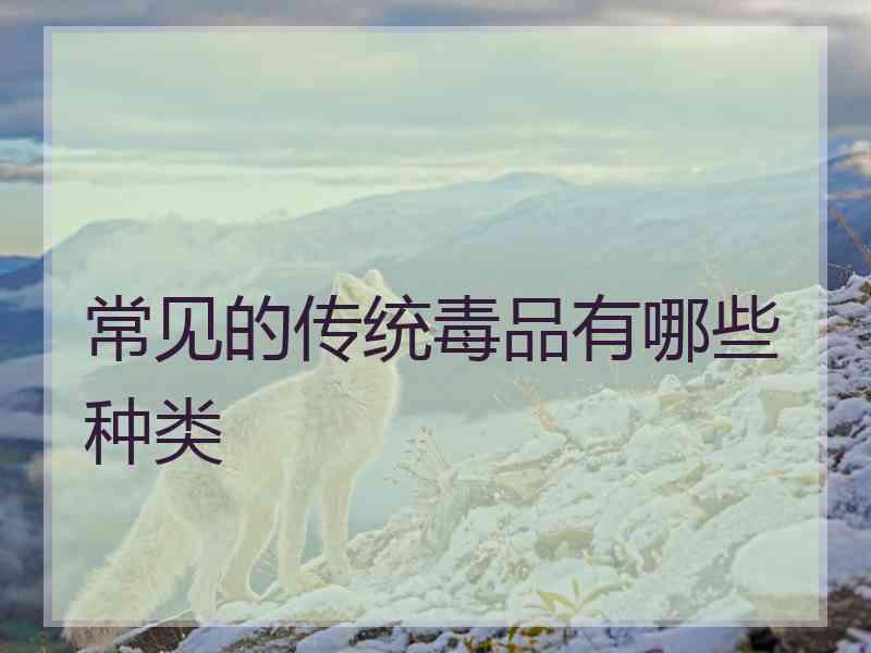 常见的传统毒品有哪些种类