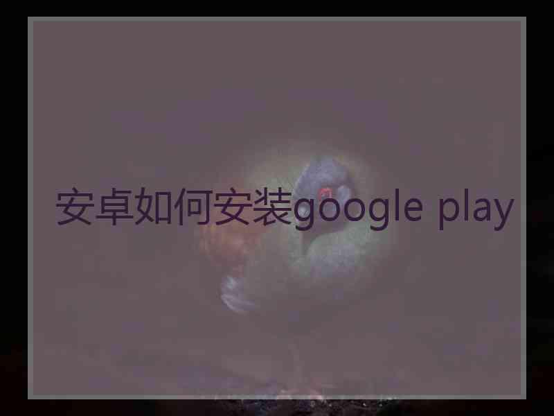 安卓如何安装google play