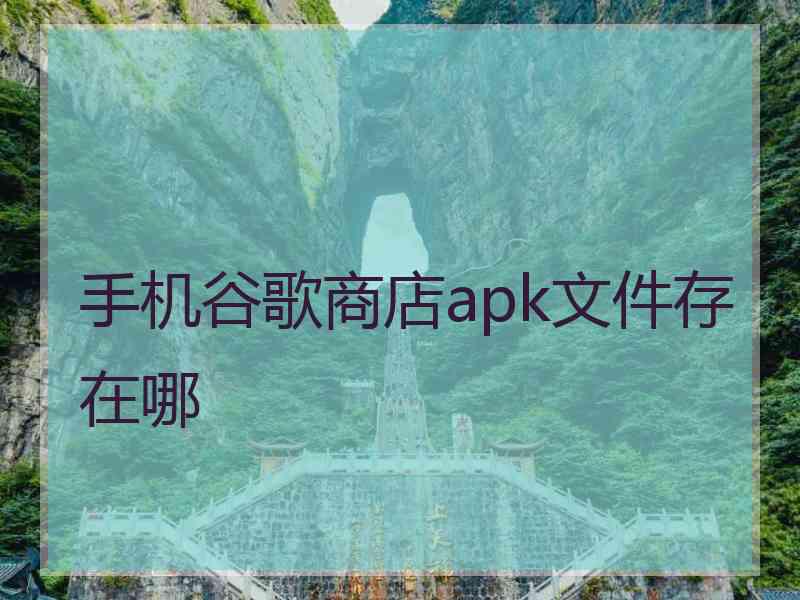 手机谷歌商店apk文件存在哪