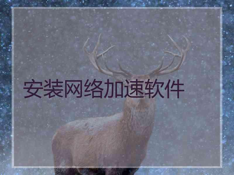 安装网络加速软件