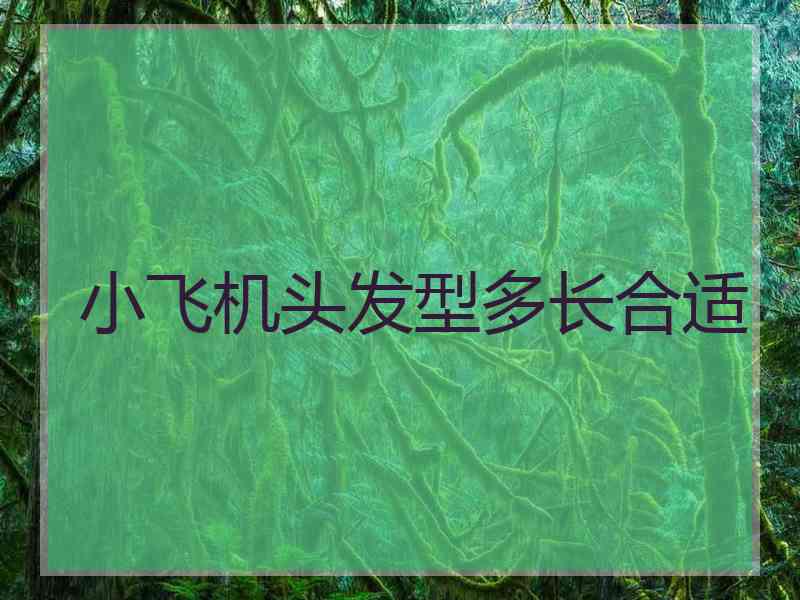 小飞机头发型多长合适