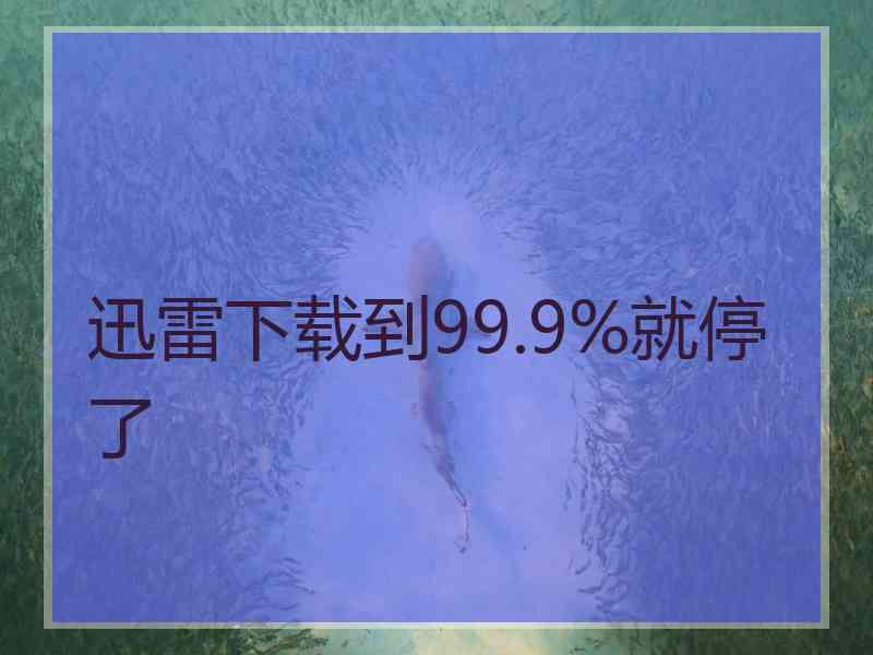 迅雷下载到99.9%就停了