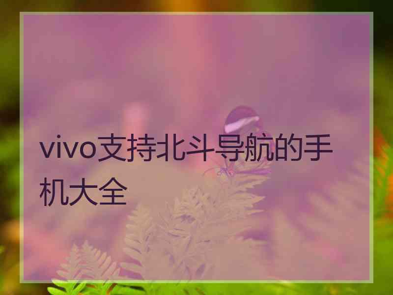 vivo支持北斗导航的手机大全