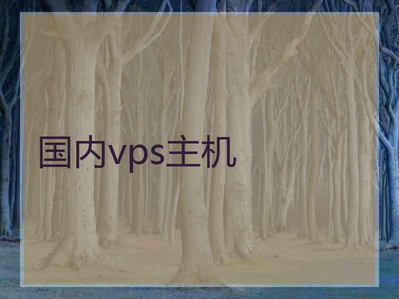 国内vps主机