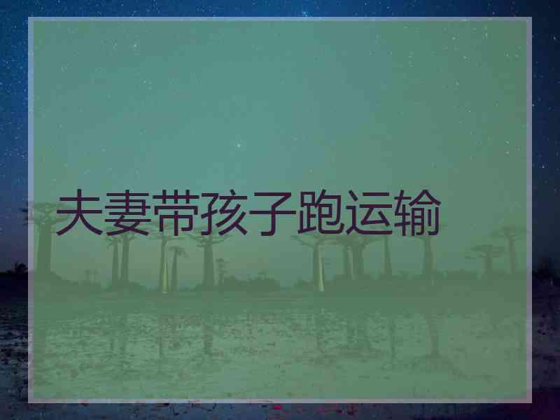 夫妻带孩子跑运输