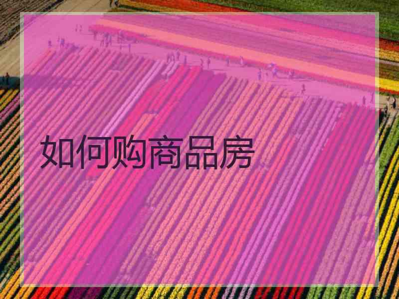 如何购商品房