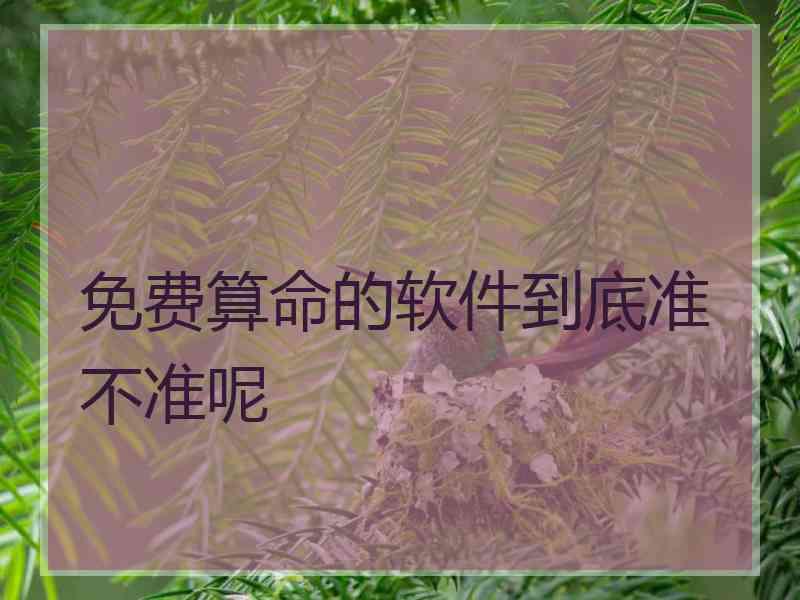 免费算命的软件到底准不准呢