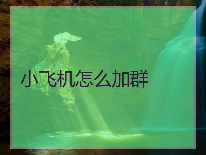 小飞机怎么加群