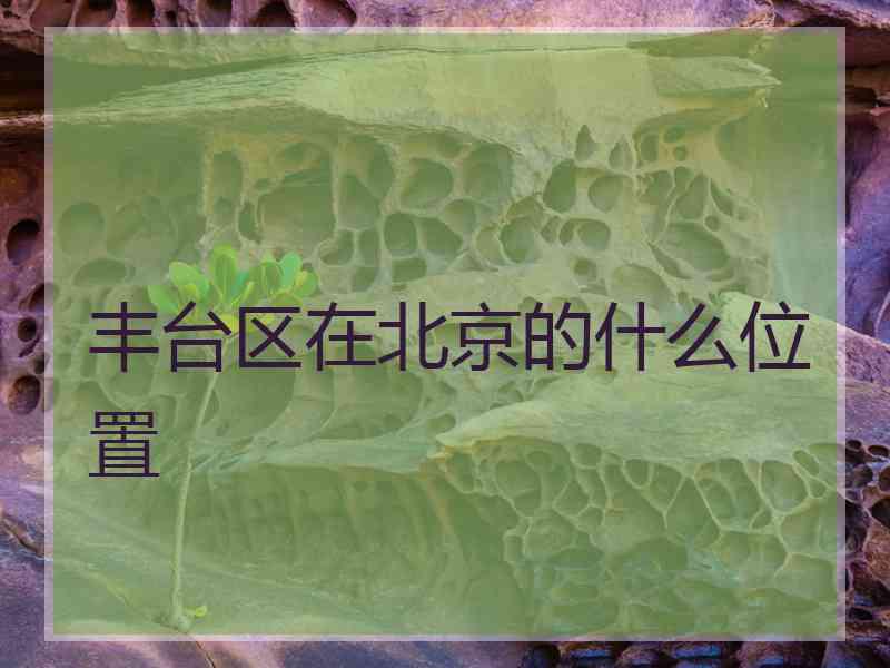 丰台区在北京的什么位置