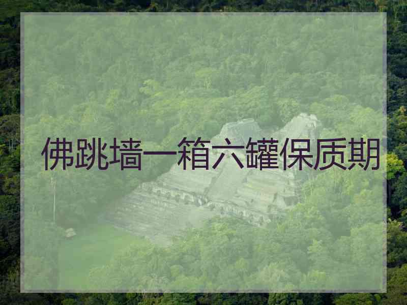 佛跳墙一箱六罐保质期