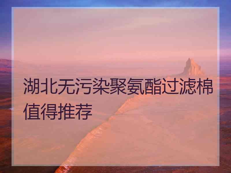 湖北无污染聚氨酯过滤棉值得推荐