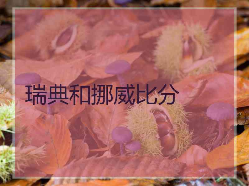 瑞典和挪威比分