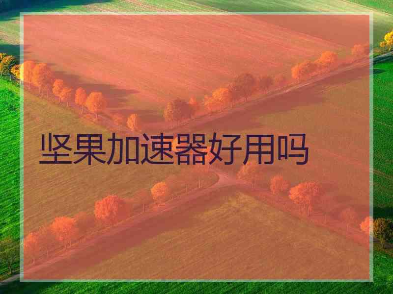 坚果加速器好用吗