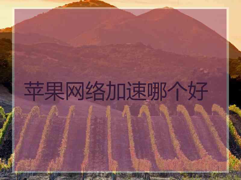 苹果网络加速哪个好