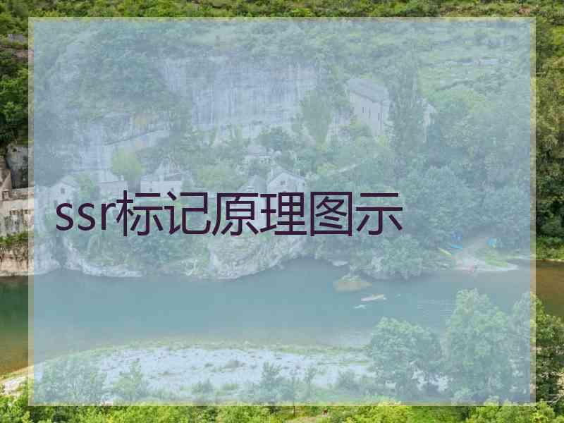 ssr标记原理图示