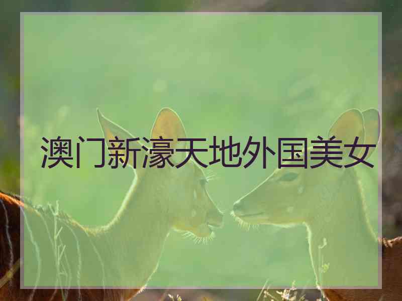 澳门新濠天地外国美女