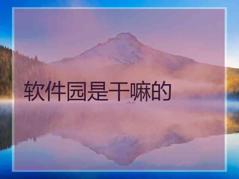 软件园是干嘛的