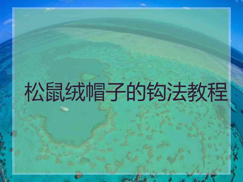 松鼠绒帽子的钩法教程