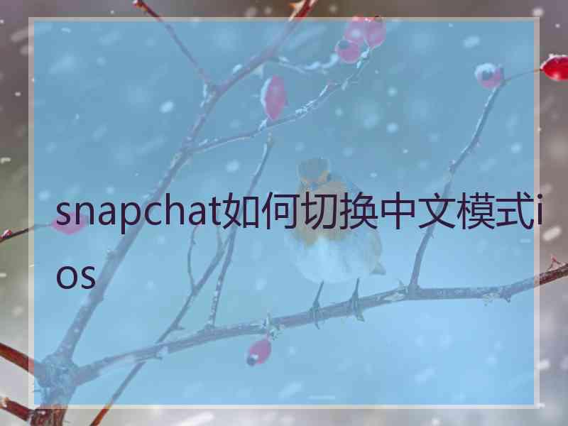 snapchat如何切换中文模式ios