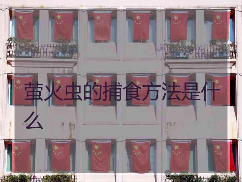 萤火虫的捕食方法是什么