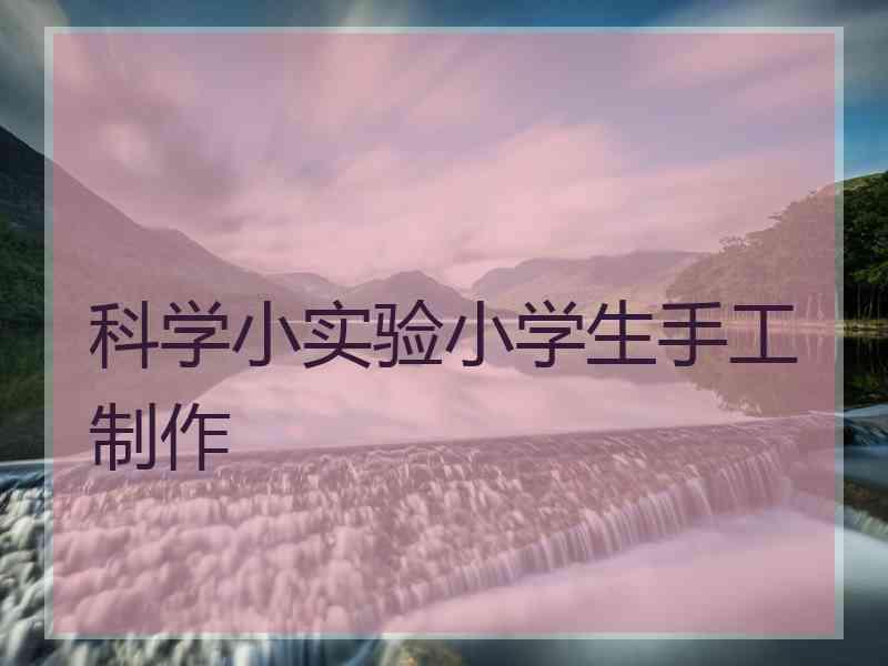 科学小实验小学生手工制作
