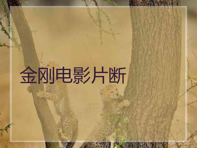金刚电影片断
