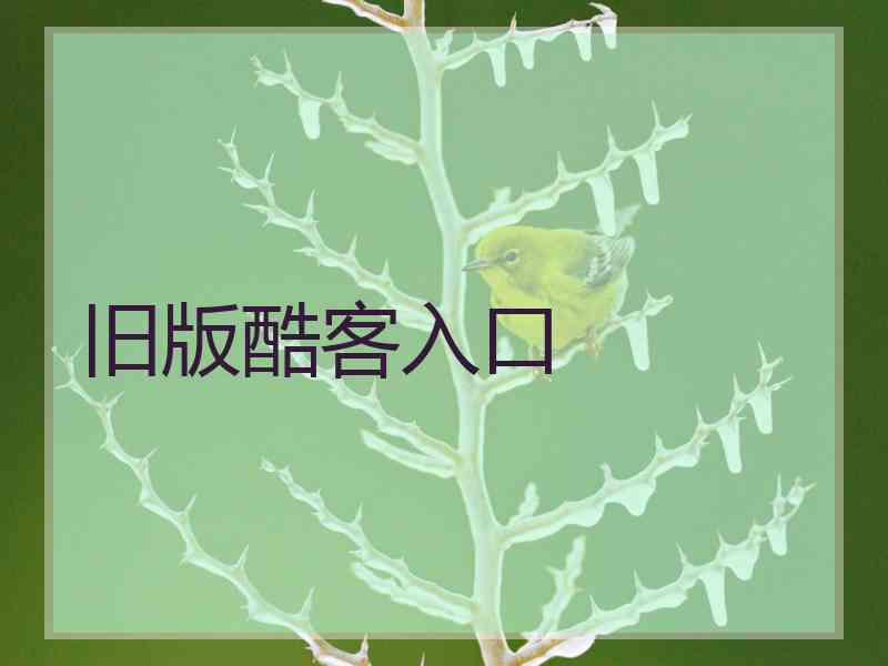 旧版酷客入口