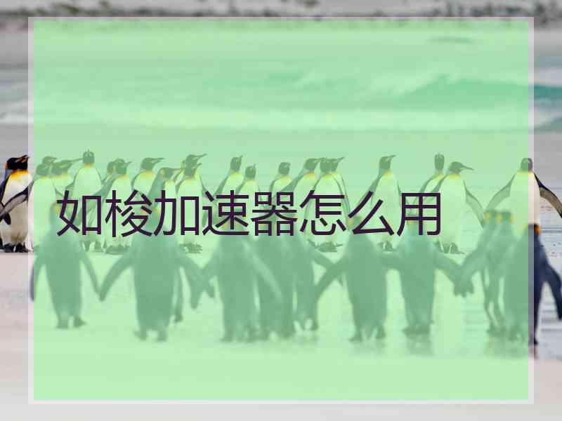 如梭加速器怎么用