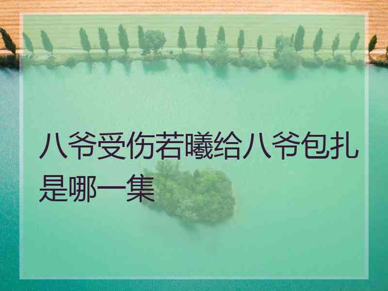 八爷受伤若曦给八爷包扎是哪一集