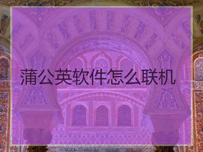 蒲公英软件怎么联机