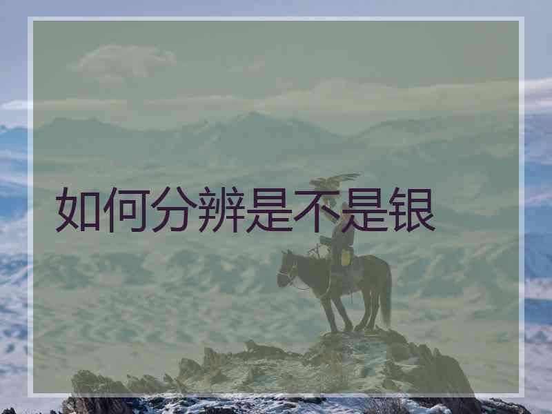 如何分辨是不是银