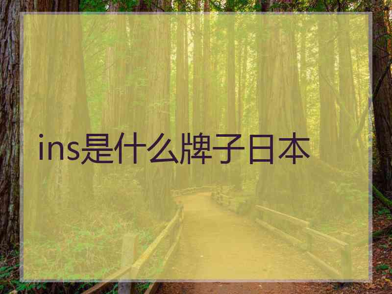 ins是什么牌子日本