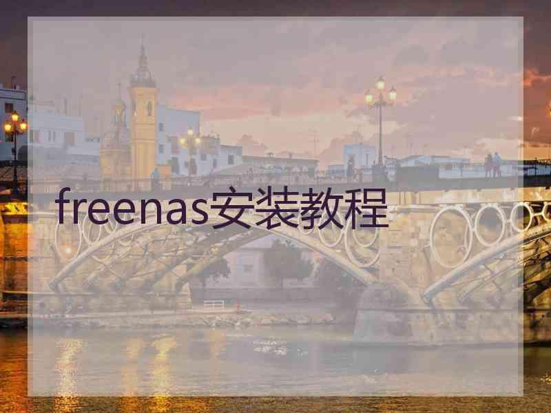 freenas安装教程