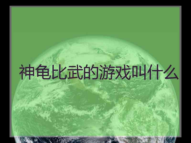 神龟比武的游戏叫什么