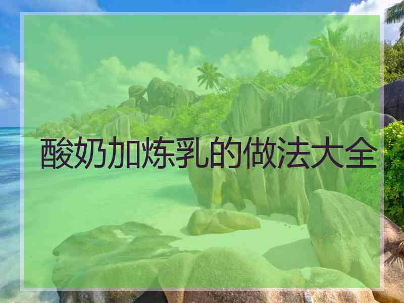 酸奶加炼乳的做法大全