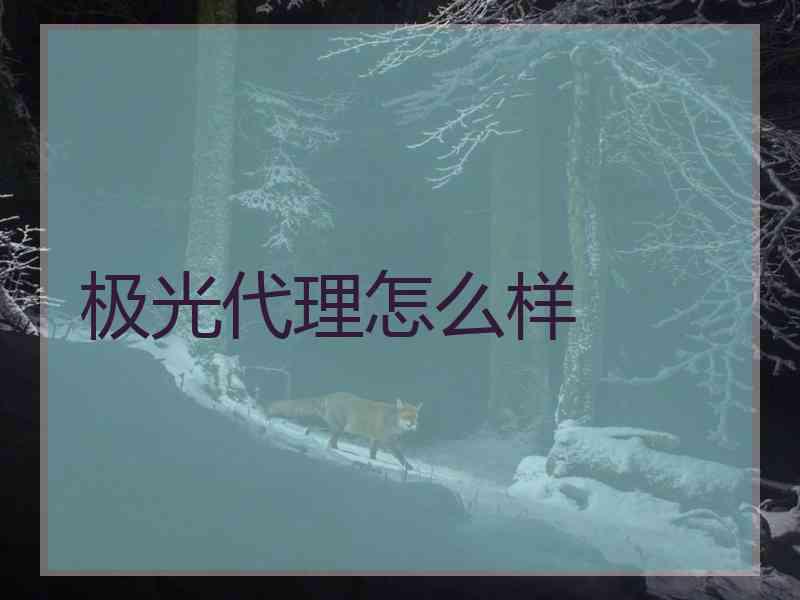 极光代理怎么样