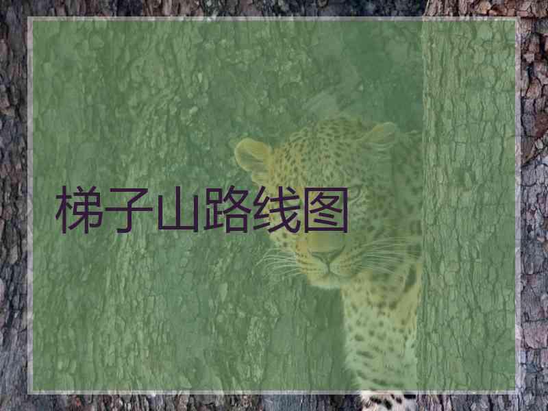 梯子山路线图